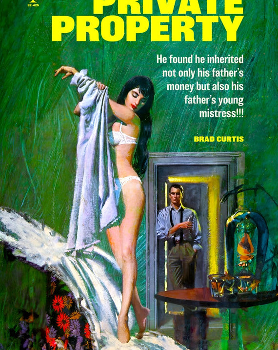 Private Property Pulp Novel Cover Sleaze Fiction