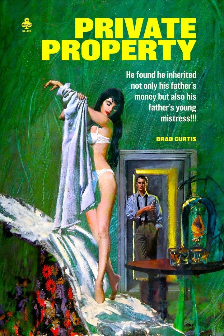 Private Property Pulp Novel Cover Sleaze Fiction Reproduction Print (p-prop-p)