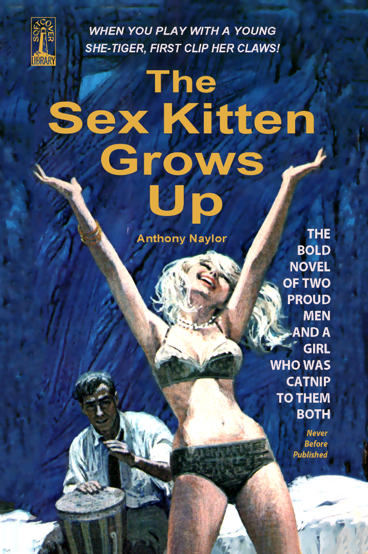 Sex Kitten Grows Up Pulp Novel Cover Poster/Print/Card